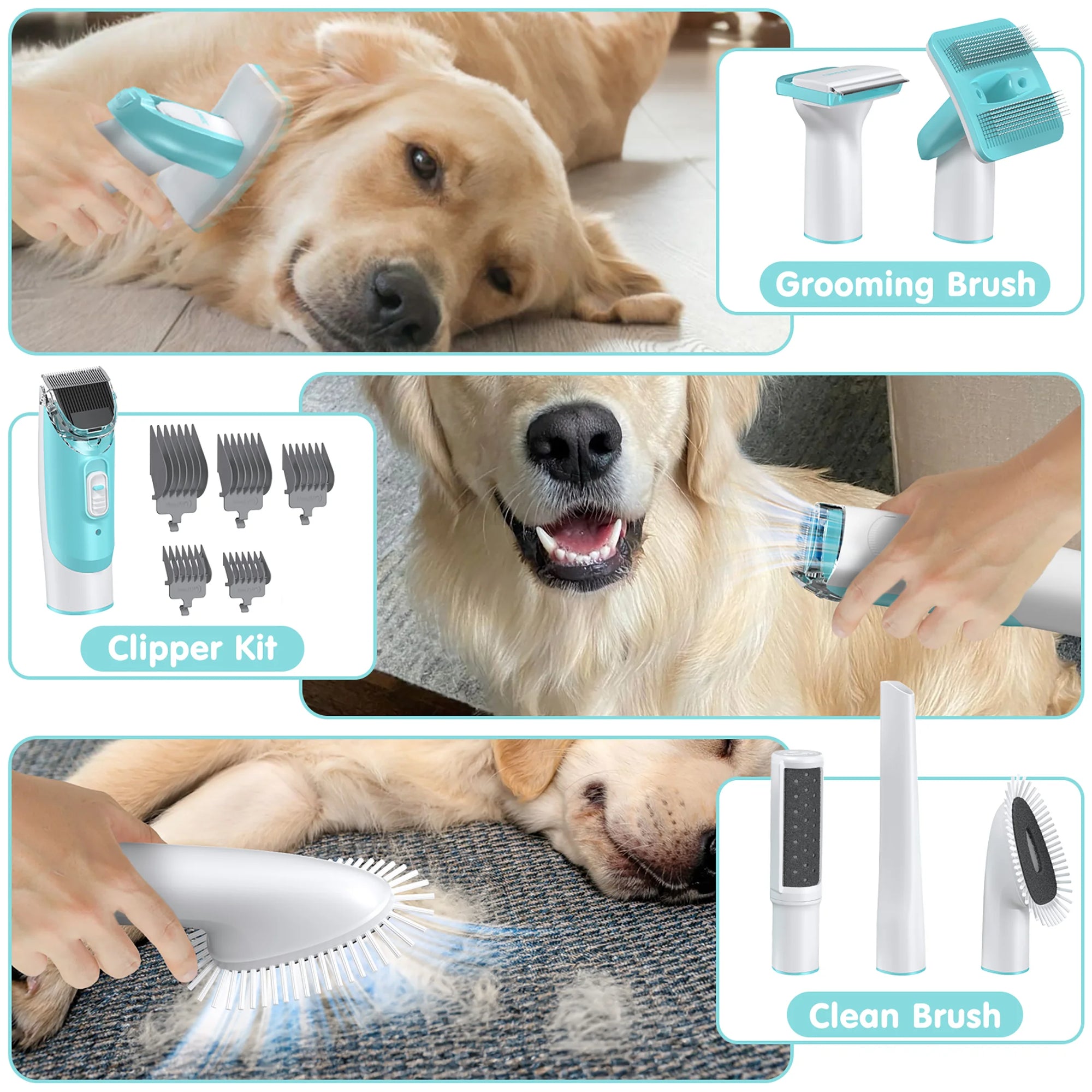 EVLIVE Professional 6-In-1 Dog Grooming Vacuum Kit - 11000PA High Suction & 1.5L Capacity | 99% Hair Removal with Complete Grooming Tools.