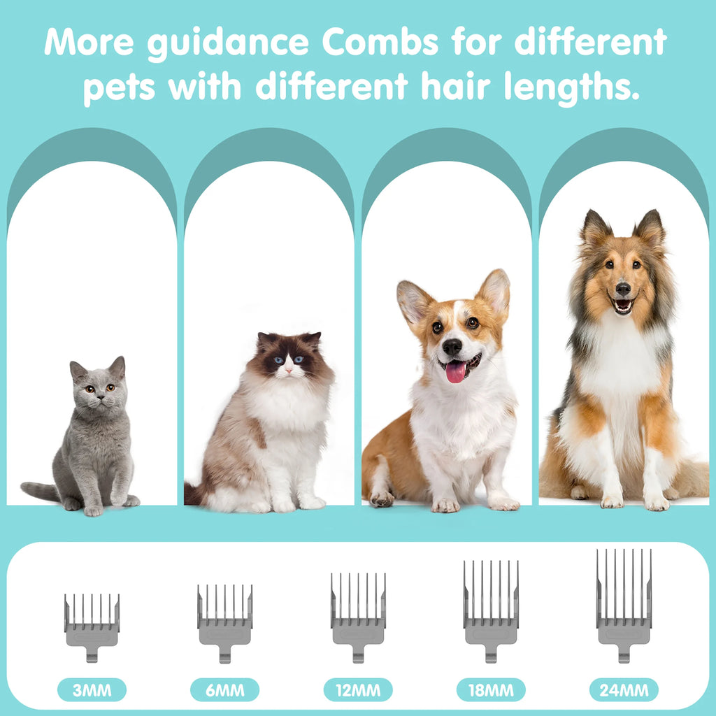 EVLIVE Professional 6-In-1 Dog Grooming Vacuum Kit - 11000PA High Suction & 1.5L Capacity | 99% Hair Removal with Complete Grooming Tools.