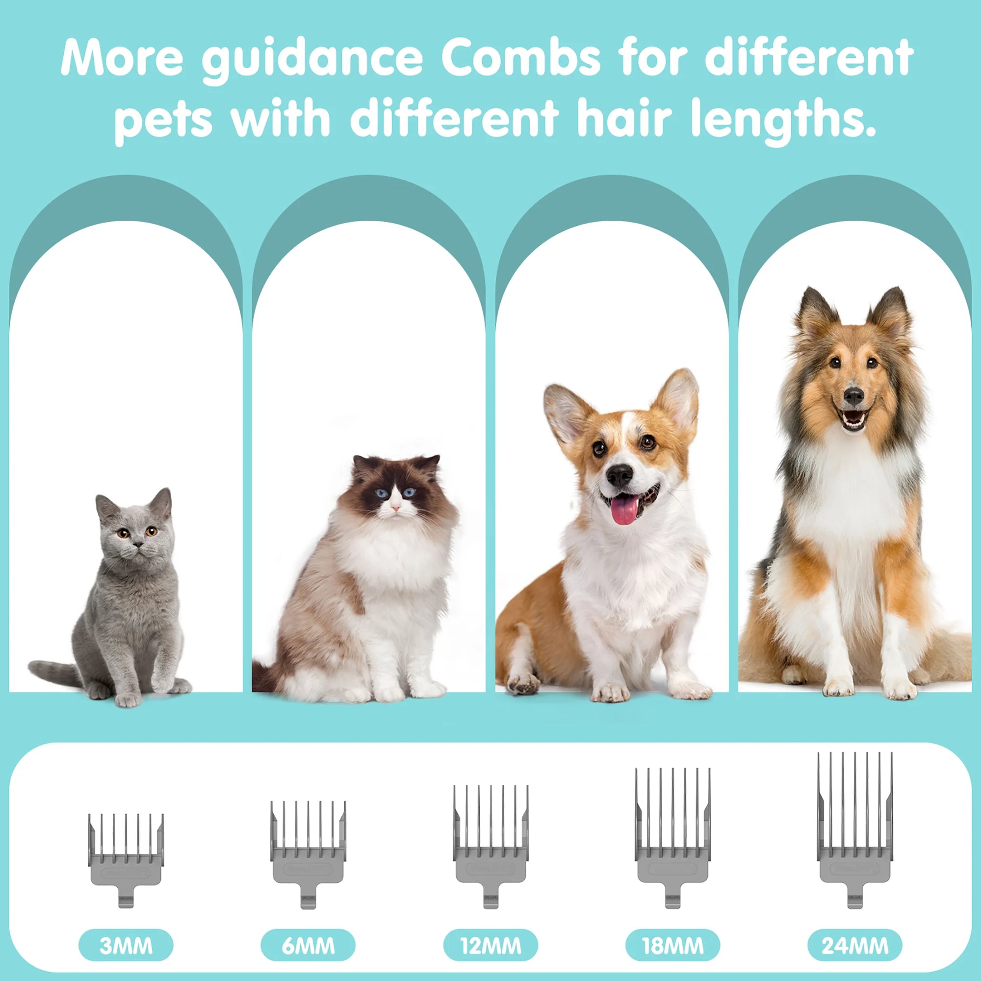 EVLIVE Professional 6-In-1 Dog Grooming Vacuum Kit - 11000PA High Suction & 1.5L Capacity | 99% Hair Removal with Complete Grooming Tools.