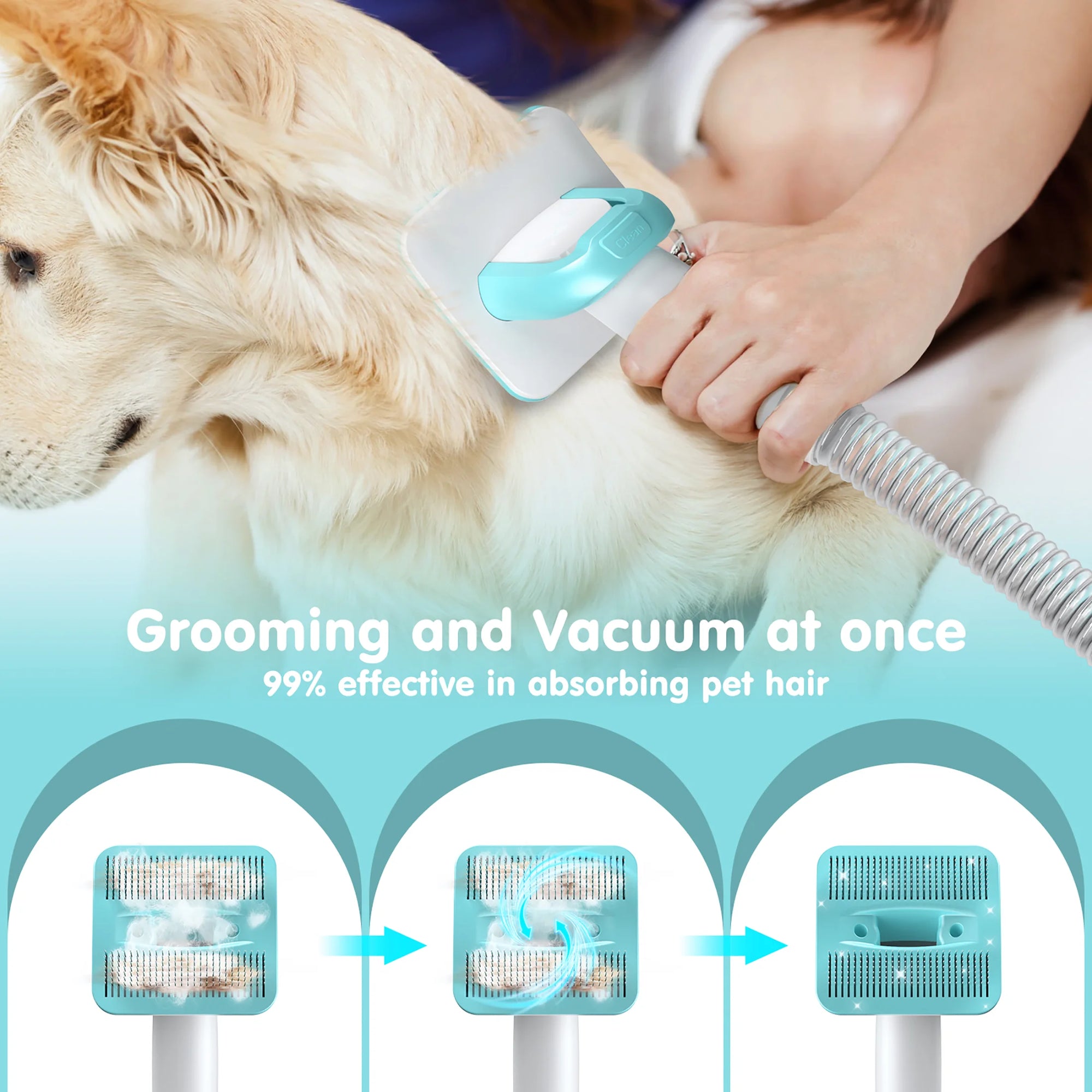 EVLIVE Professional 6-In-1 Dog Grooming Vacuum Kit - 11000PA High Suction & 1.5L Capacity | 99% Hair Removal with Complete Grooming Tools.